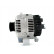 Alternateur 575.585.110.000 PlusLine, Vignette 2