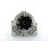 Alternateur 575.592.110.000 PlusLine, Vignette 4