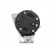 Alternateur 595.504.100.090 PlusLine, Vignette 3
