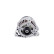 Dynamo ALT14V150A(R) Bosch, Vignette 4