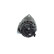 Dynamo ALT28V80A(R) Bosch, Vignette 6
