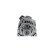 Dynamo / Alternateur ALT14V120A(R) Bosch, Vignette 2