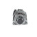 Dynamo / Alternateur ALT14V150A(R) Bosch, Vignette 5