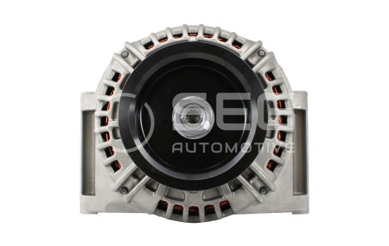 Dynamo Daf 110A