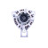 Dynamo Mercedes 24V 150A (Avec poulie) 556.511.150.204 PlusLine