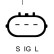 Dynamo, Vignette 2
