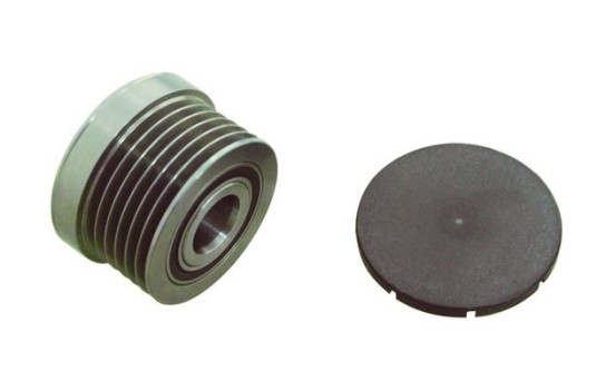 Roue libre alternateur