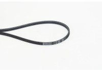 Courroie Poly V 3PK968 Contitech