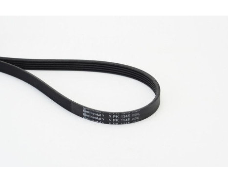 Courroie Poly V 5PK1245 Contitech