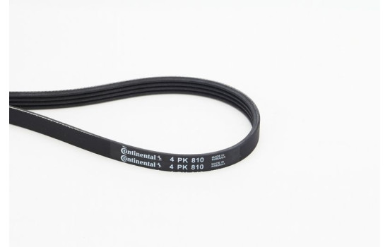Courroie trapézoïdale à nervures 4PK810 Contitech, Image 2