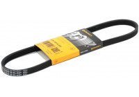 Courroie trapézoïdale à nervures 4PK830 ELAST Contitech