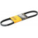 Courroie trapézoïdale à nervures 4PK830 ELAST Contitech
