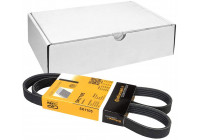 Courroie trapézoïdale à nervures 5PK1105 Contitech