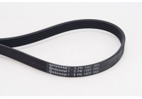 Courroie trapézoïdale à nervures 5PK1207 Contitech