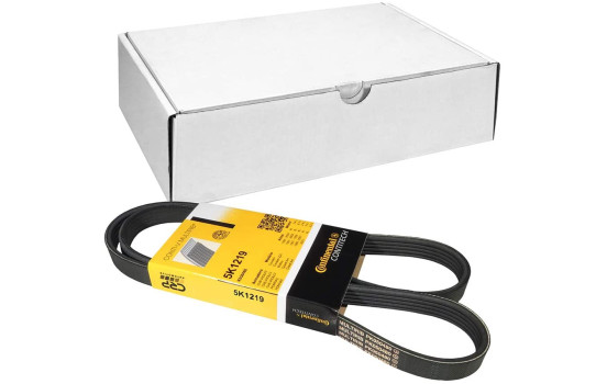 Courroie trapézoïdale à nervures 5PK1219 Contitech