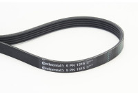 Courroie trapézoïdale à nervures 5PK1515 Contitech