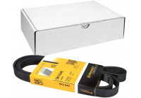 Courroie trapézoïdale à nervures 5PK1546 Contitech