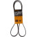 Courroie trapézoïdale à nervures 5PK1592 Contitech