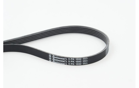 Courroie trapézoïdale à nervures 5PK1592 Contitech, Image 2