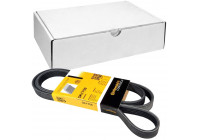 Courroie trapézoïdale à nervures 5PK1750 Contitech