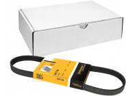Courroie trapézoïdale à nervures 5PK736 Contitech