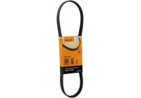 Courroie trapézoïdale à nervures 5PK836 Contitech