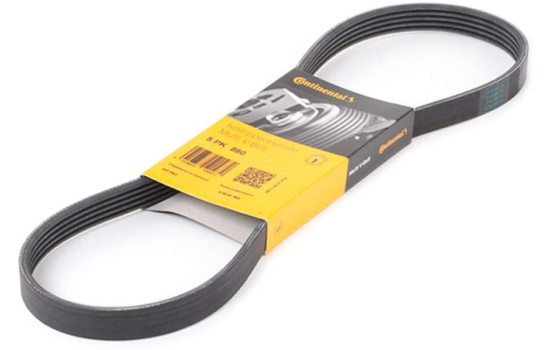 Courroie trapézoïdale à nervures 5PK880 Contitech