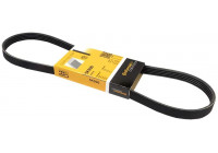 Courroie trapézoïdale à nervures 5PK906 Contitech