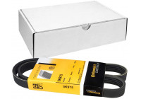 Courroie trapézoïdale à nervures 5PK975 Contitech