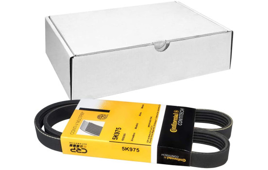 Courroie trapézoïdale à nervures 5PK975 Contitech