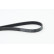 Courroie trapézoïdale à nervures 6PK1005 Contitech, Vignette 2