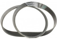 Courroie trapézoïdale à nervures 6PK1033 Contitech