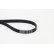 Courroie trapézoïdale à nervures 6PK1050 Contitech, Vignette 2