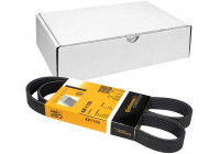 Courroie trapézoïdale à nervures 6PK1100 Contitech