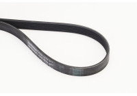 Courroie trapézoïdale à nervures 6PK1173 Contitech