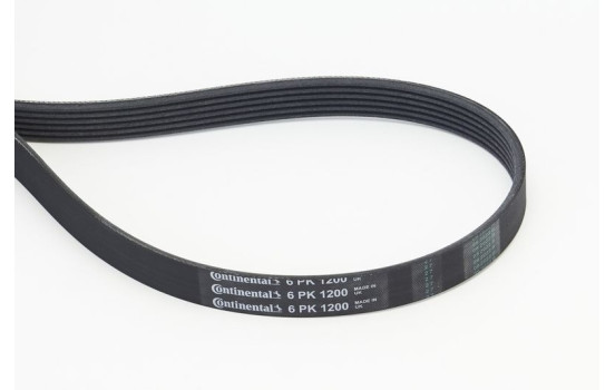 Courroie trapézoïdale à nervures 6PK1200 Contitech, Image 2