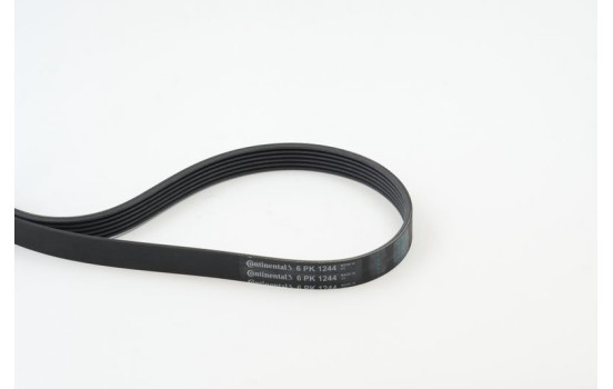 Courroie trapézoïdale à nervures 6PK1244 Contitech, Image 2