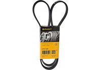 Courroie trapézoïdale à nervures 6PK1325 Contitech