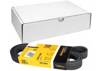 Courroie trapézoïdale à nervures 6PK1448 Contitech