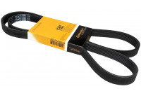 Courroie trapézoïdale à nervures 6PK1560 Contitech