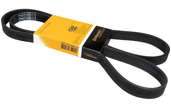 Courroie trapézoïdale à nervures 6PK1560 Contitech