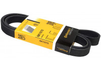 Courroie trapézoïdale à nervures 6PK1570 Contitech