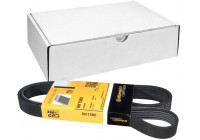 Courroie trapézoïdale à nervures 6PK1580 Contitech