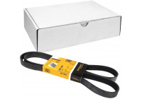 Courroie trapézoïdale à nervures 6PK1590 Contitech