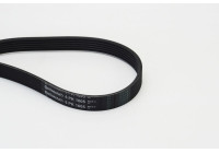 Courroie trapézoïdale à nervures 6PK1605 Contitech