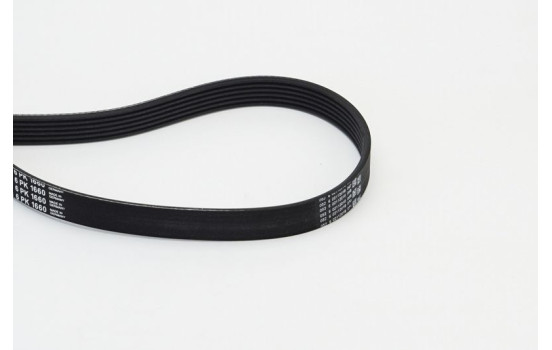 Courroie trapézoïdale à nervures 6PK1660 Contitech, Image 3