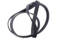 Courroie trapézoïdale à nervures 6PK1670 Contitech