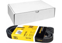 Courroie trapézoïdale à nervures 6PK1795 Contitech