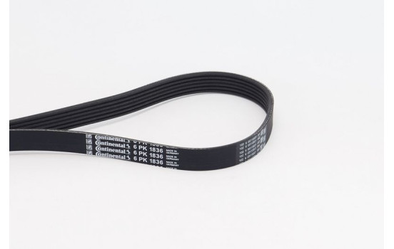 Courroie trapézoïdale à nervures 6PK1836 Contitech, Image 2