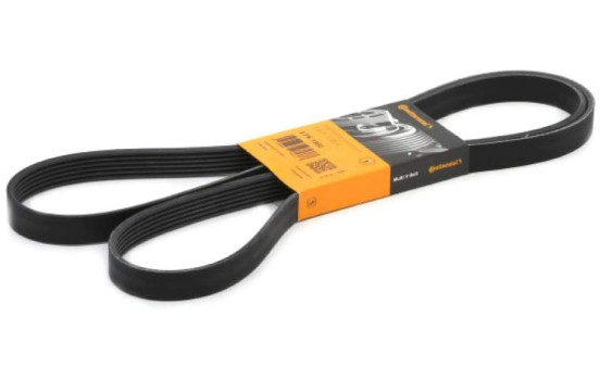Courroie trapézoïdale à nervures 6PK1900 Contitech
